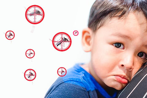 All you need to know about dengue: Symptoms and treatment