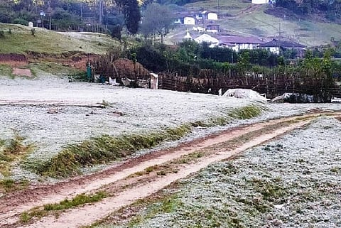 Munnar sees delayed winter, hill town experiences sub-zero temperatures a week late