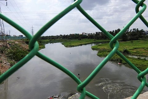 A water body