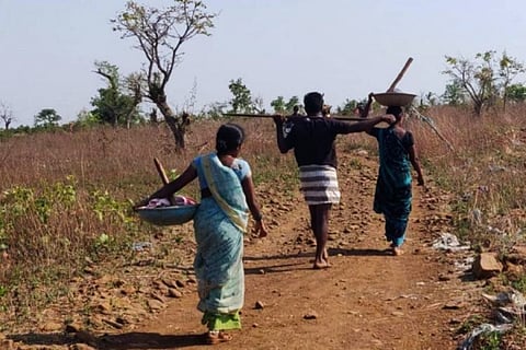 Rural Employment