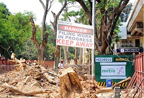 1,253 trees chopped for Bengaluru Metro Ph-2, activists say expert panel not consulted