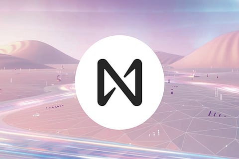 How does the NEAR Protocol differ among the competitors?