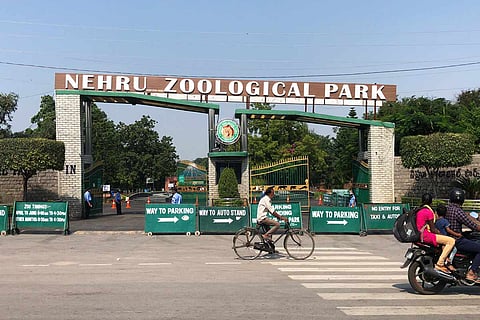 A trip to Hyderabad zoo after its reopening