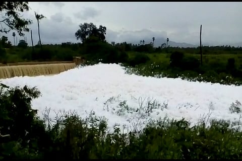 Kovai’s Noyyal River froths again, activists blame TNPCB officials for inaction