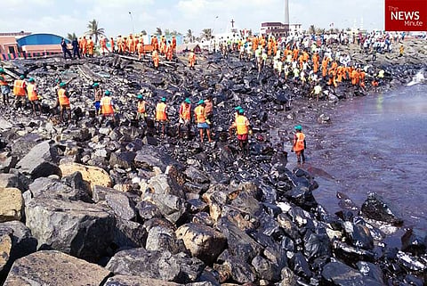 IIT Madras report warned of long-term impact of Chennai oil spill, but officials ignored it