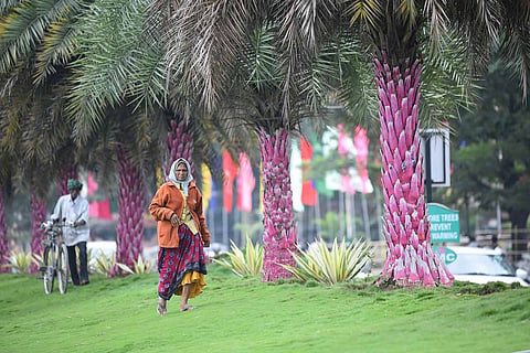 Telangana horticulture dept sacks outsourced workers, leaves them in the lurch