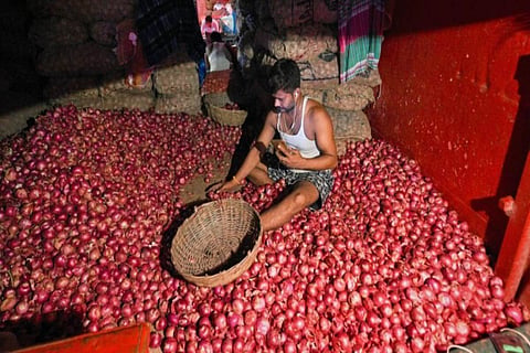 A worker sorting onions