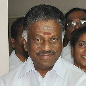 TN seeks lift of Jallikattu ban ahead of Pongal