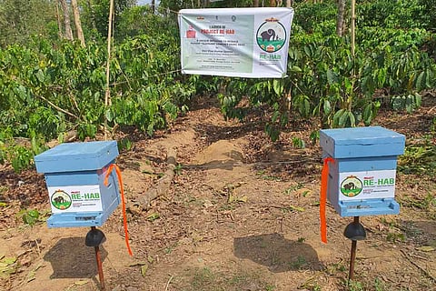 bee boxes in Kodagu