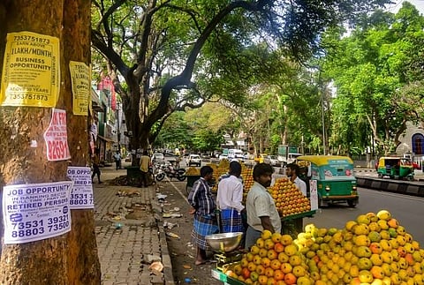 Secular, sacred and domestic: Living with street trees in Bengaluru