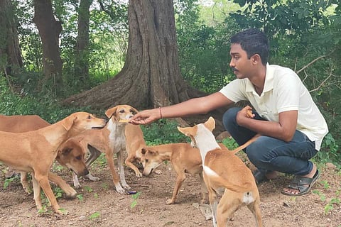 Sai Vignesh