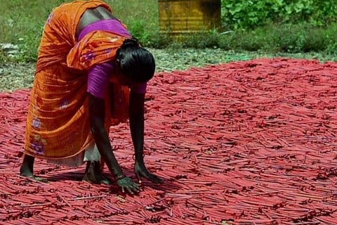 A woman in Sivakasi working in a firecracker manufacturing unit