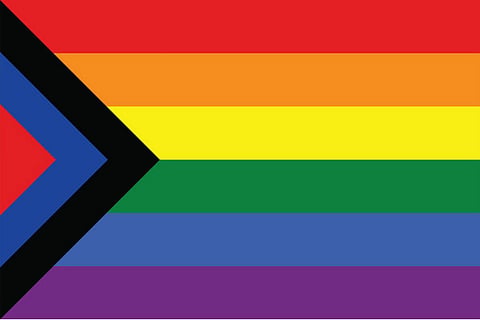 LGBTQ meets caste, politics: Social justice pride flag at Chennai Queer LitFest