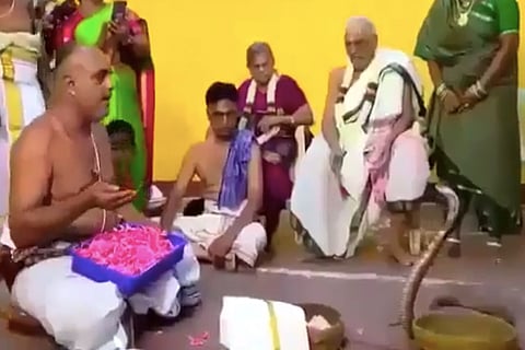 Priest in TN performs puja in front of a cobra, lands himself in jail