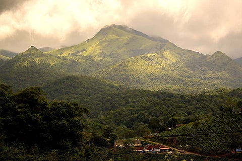 Wayanad mountains
