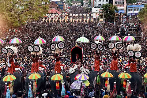 Caparisoned elephants with umbrellas at Thrissur Pooram
