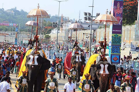 Elephants taking a procession