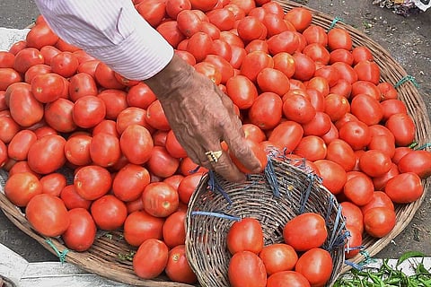 Tomatoes
