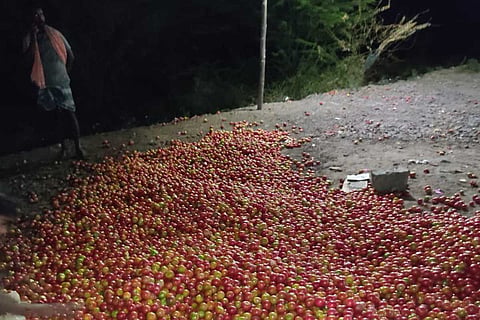 Tomatoes scattered on the road