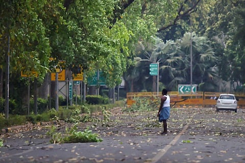 Picture of a road with trees on the side