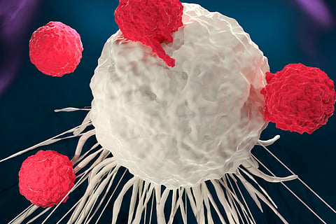 Scientists develop nano 'Trojan horse' to strangle tumours