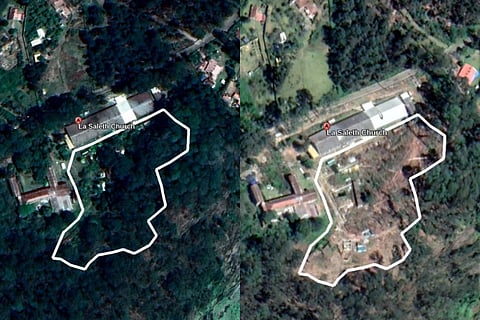 Collage of Google Earth screenshots of deforestation