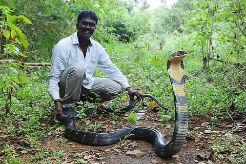 Renowned Kerala snake handler Vava Suresh was was hospitalised after being bitten by a cobra