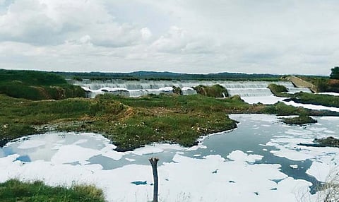 How Bengaluru’s Peenya Industrial Area has choked and killed its surrounding lakes