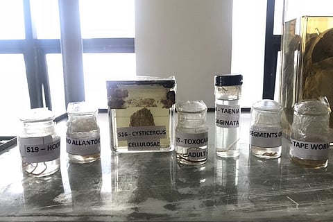 Watch: Here’s how parasitic infestations are being combated using preventive measures