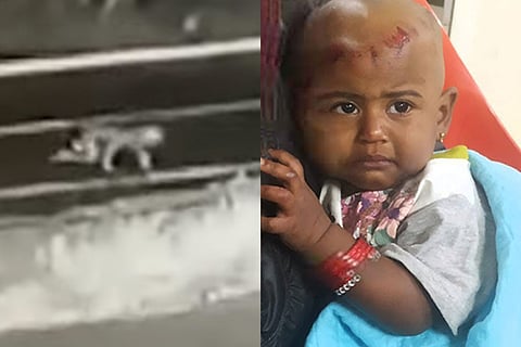 Nailbiting video shows 1-yr-old fall off jeep in Kerala forest area, then crawl to safety