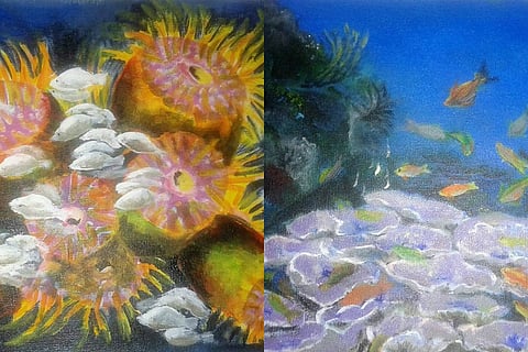 Deep dive for environment: Meet the TN woman who paints corals to help save them