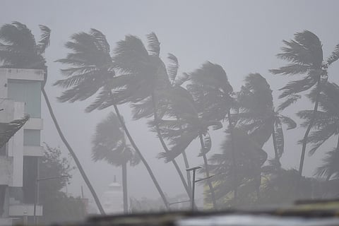 Cyclone Nivar: Tamil Nadu govt says previous lessons learnt helped reduce destruction