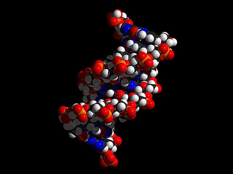 Dead man's DNA proves paternity, should 'illegitimate child' be entitled to property?