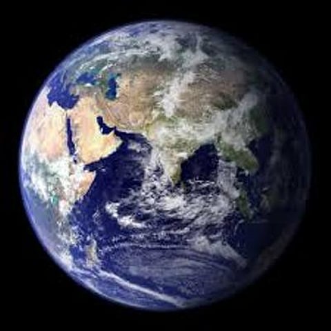 Human over-consumption increase in extinction rate, says study