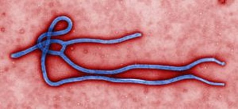 Why was experimental Ebola drug given to two Americans when 1,000 people, mostly in Africa, died from disease