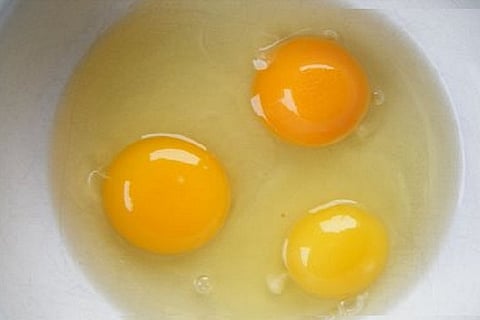 An egg a day can reduce risk of stroke