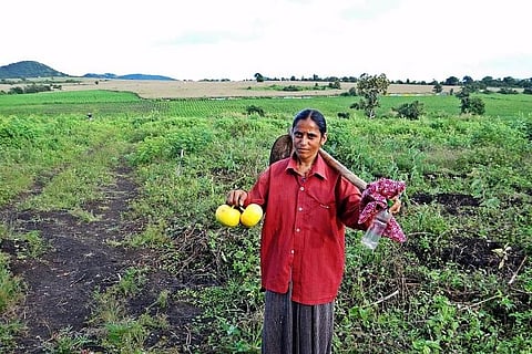 India's weather predictions have grown in accuracy, but more is needed to face climate change