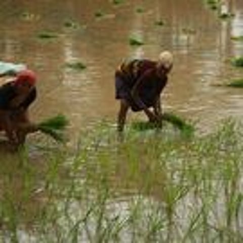 Farmers protest against land pooling in Andhra Pradesh