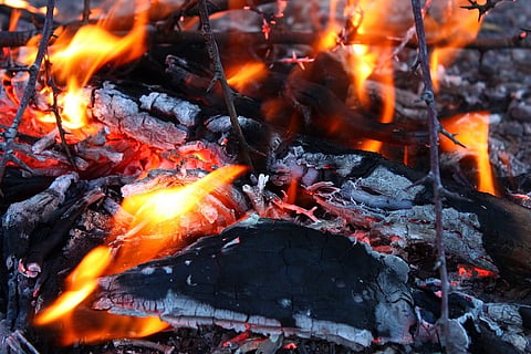Forest fire breaks out at Andhra's Srikakulam district, one and a half acres burnt