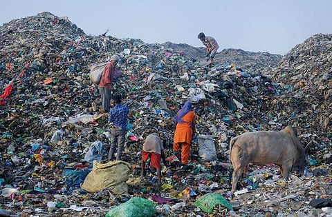 Garbage