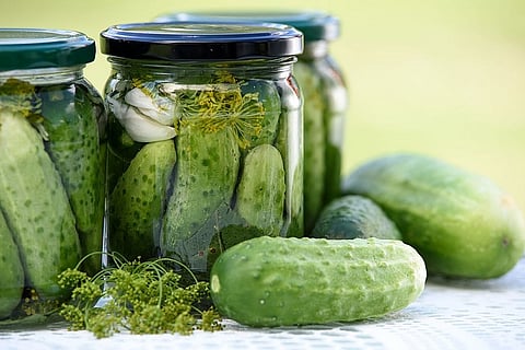 In a pickle: The rise and decline of Karnataka’s massive global gherkin industry