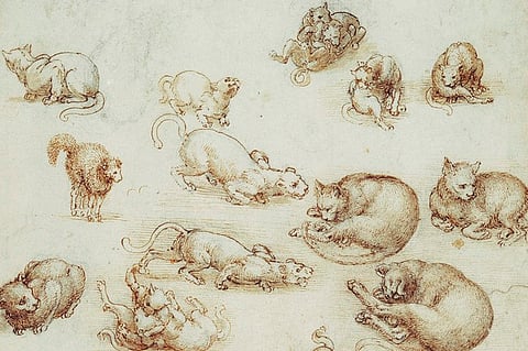 Why Leonardo da Vinci is the genius who would have aced the internet cat craze