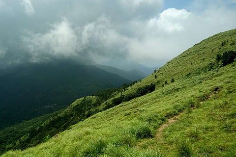 Image for representation: Kerala govt decides to exclude residential areas, farmland from eco-sensitive zone