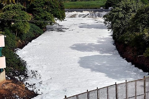 Does COVID-19 virus survive in sewage? Bengaluru citizens group asks in report