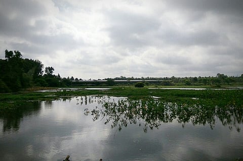 With Bellandur under NGT scanner, are Bengaluru civic bodies polluting other lakes?