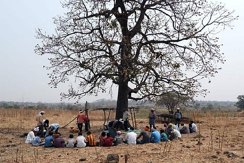 Tribals gather around a mahua tree