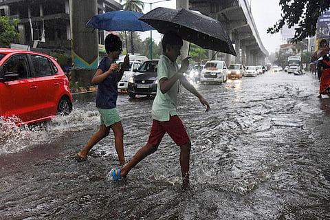 Rain image used for representation