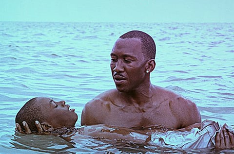A critical guide to the Oscar Best Pic nominees, and why Moonlight should win