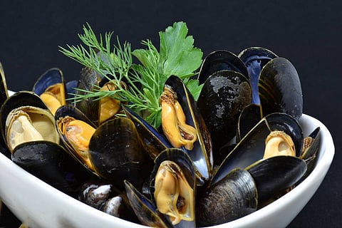 Asian green mussels, a Kerala delicacy, faces threat from an invasive American mussel