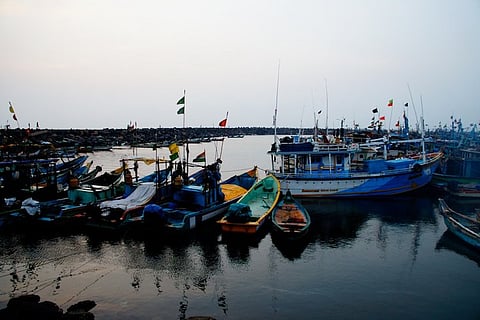 Tamil Nadu gets Rs 450 cr loan from Centre for building 3 fishing harbours